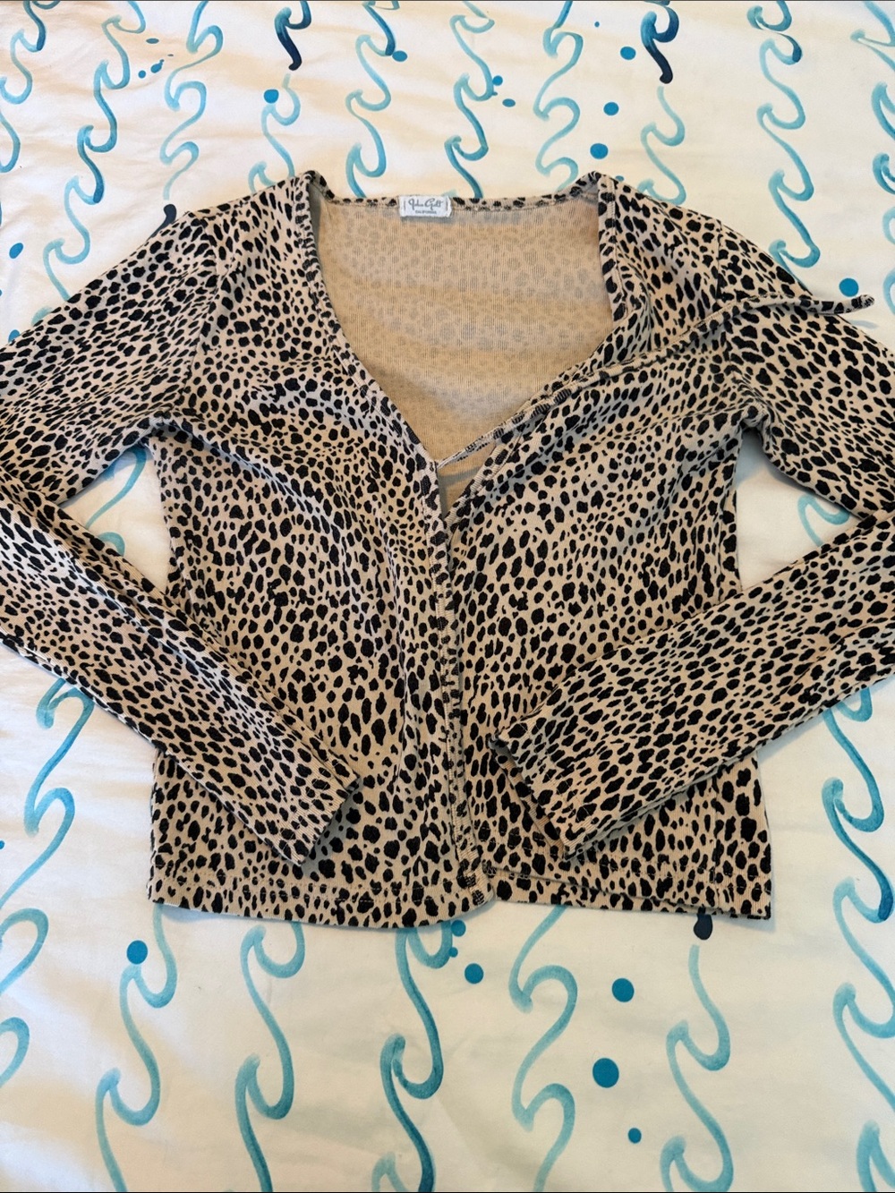 Leopard Print Long Sleeve V-Neck Top - Tan & Black